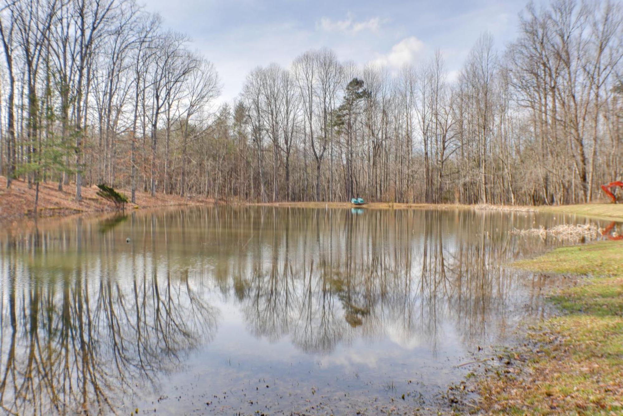 Dog-Friendly Georgia Home With Grill And Fishing Pond! Rising Fawn Экстерьер фото